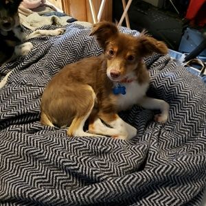 Meet your Posher, Vanessa